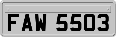 FAW5503