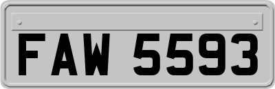 FAW5593