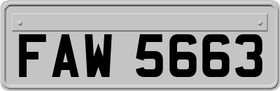 FAW5663
