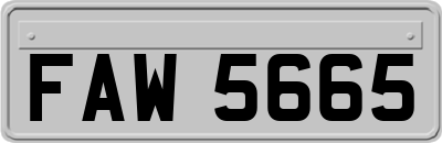FAW5665