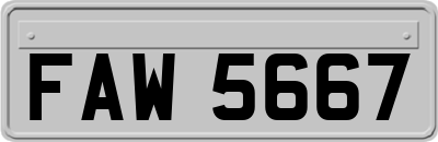 FAW5667