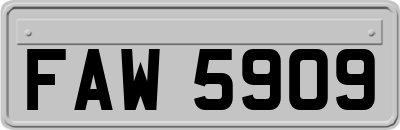 FAW5909