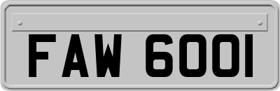 FAW6001