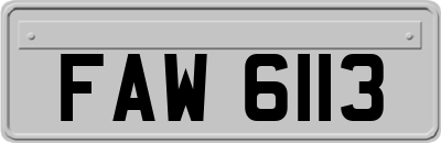 FAW6113
