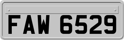 FAW6529