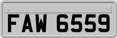 FAW6559