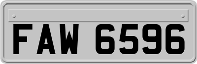 FAW6596