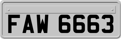 FAW6663