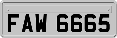 FAW6665