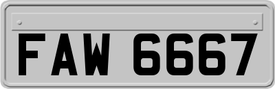 FAW6667
