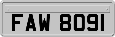 FAW8091