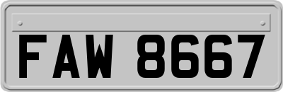 FAW8667