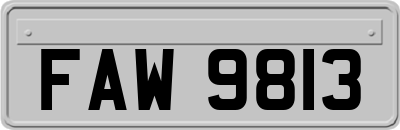 FAW9813