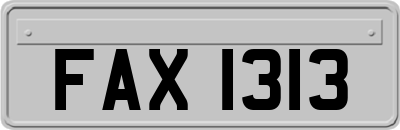 FAX1313