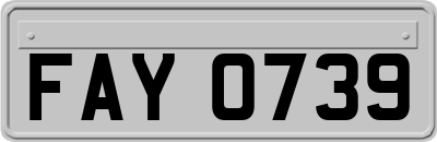 FAY0739