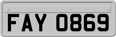 FAY0869
