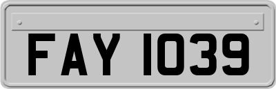 FAY1039