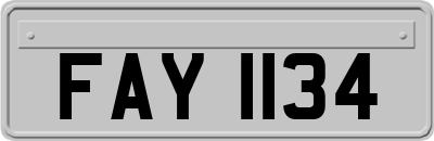 FAY1134
