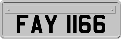 FAY1166