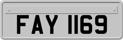 FAY1169