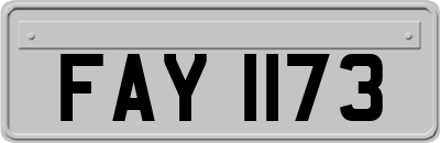 FAY1173