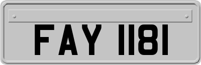 FAY1181