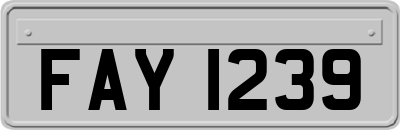 FAY1239
