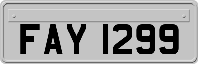 FAY1299