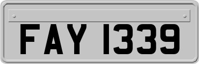 FAY1339