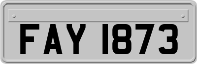 FAY1873