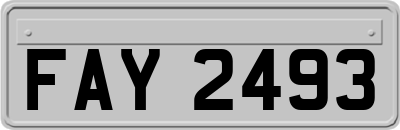 FAY2493