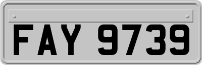 FAY9739