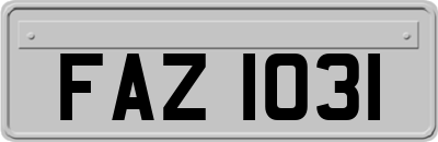 FAZ1031