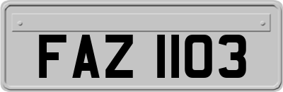 FAZ1103