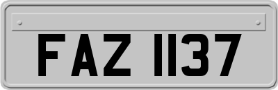 FAZ1137