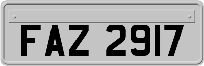 FAZ2917