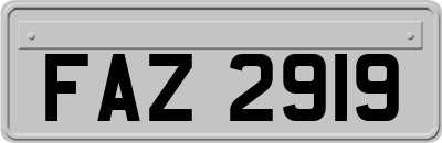 FAZ2919