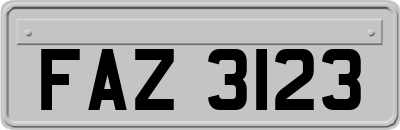 FAZ3123