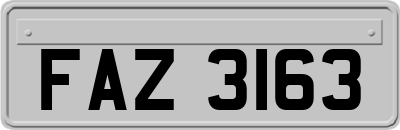 FAZ3163
