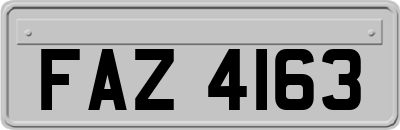 FAZ4163