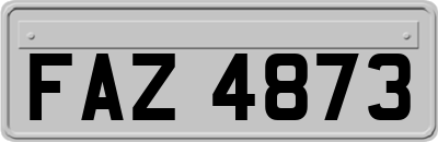 FAZ4873