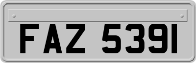 FAZ5391
