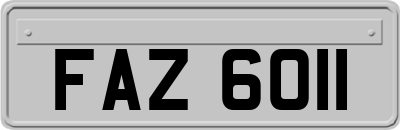 FAZ6011
