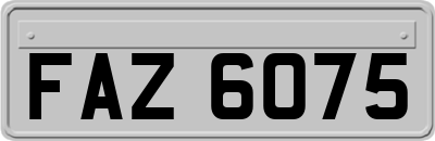 FAZ6075