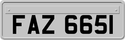 FAZ6651