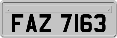 FAZ7163