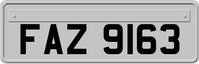 FAZ9163