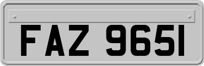 FAZ9651
