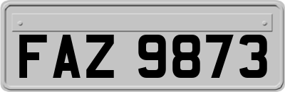 FAZ9873