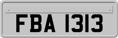 FBA1313
